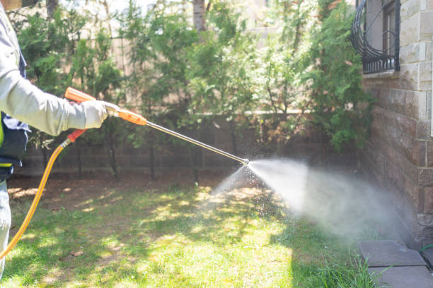 Best Residential Pest Control  in Clearwater, SC