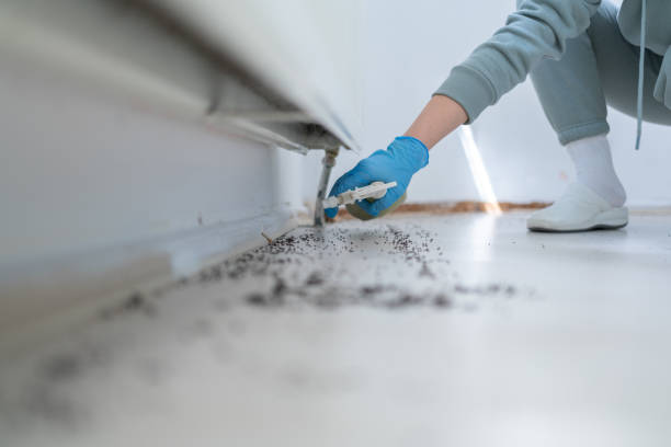 Best Wildlife Control Services  in Clearwater, SC